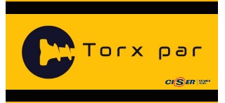 Logomarca de TORX PAR | Distribuidor de Parafusos