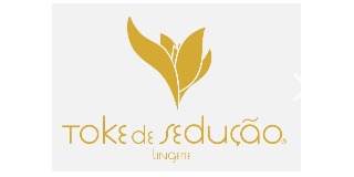 Logomarca de TOKE de SEDUÇÃO | Lingerie