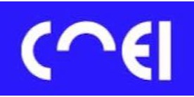 Logomarca de CNEI | Central Nacional de Embalagens Industriais