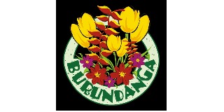Logomarca de POUSADA BURUNDANGA