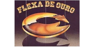Logomarca de Fornos Elétricos Flexa de Ouro Indústria e Comércio