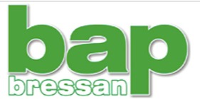 Logomarca de Bap Bressan - Distribuidora de Auto Peça