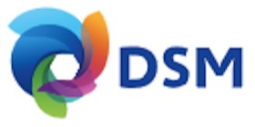 Logomarca de DSM South America