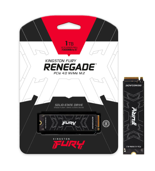 SSD Gamer Kingston Fury Renegade