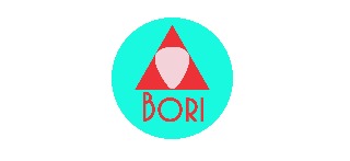 Logomarca de BORIPLAST | Palhetas Musicais