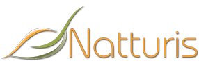 Logomarca de Natturis Consultoria Ambiental